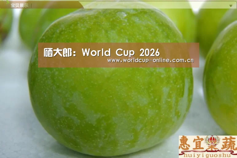 硒大郎:World Cup 2026(图2) 世界杯中文网