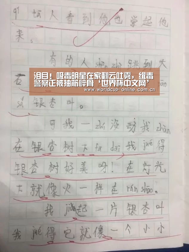 世界杯中文网