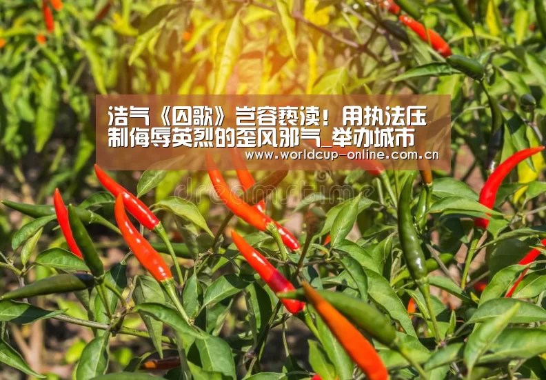 世界杯中文网