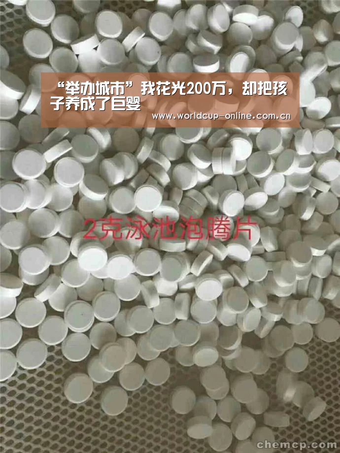 举办城市