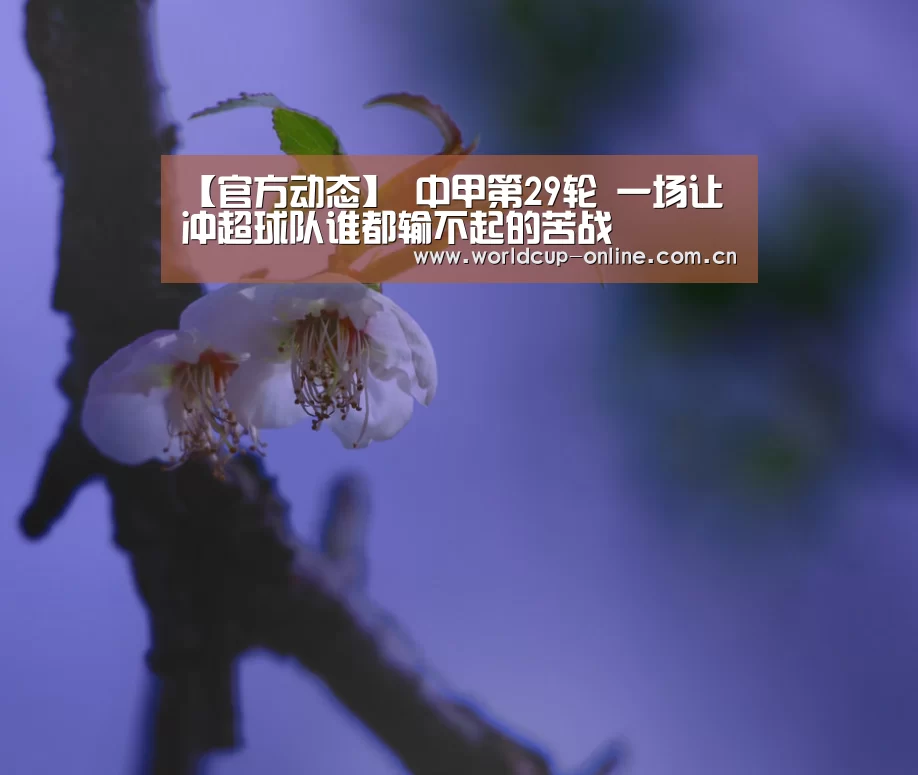 【官方动态】
中甲第29轮 一场让冲超球队谁都输不起的苦战(图2) 官方动态