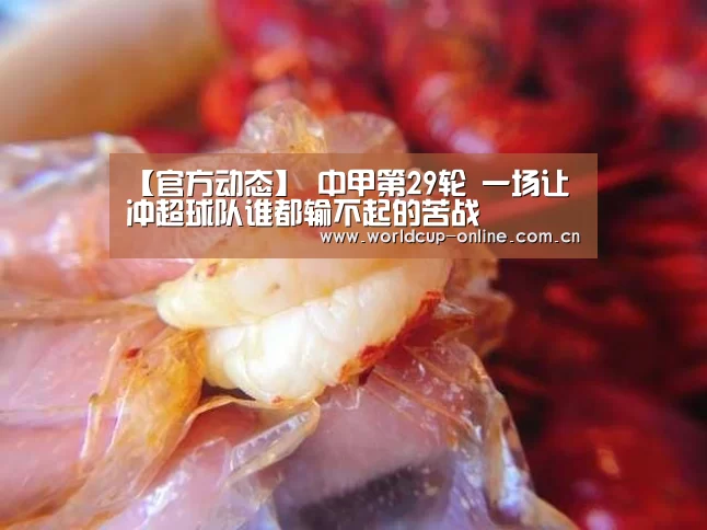 【官方动态】
中甲第29轮 一场让冲超球队谁都输不起的苦战(图1) 举办城市