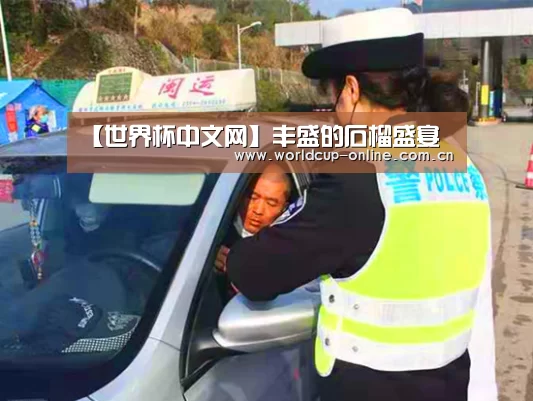 【世界杯中文网】丰盛的石榴盛宴(图3) 举办城市