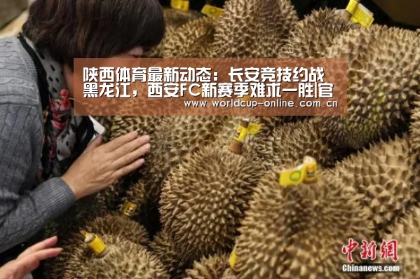 陕西体育最新动态:长安竞技约战黑龙江,西安FC新赛季难求一胜|官方动态(图3) 世界杯中文网