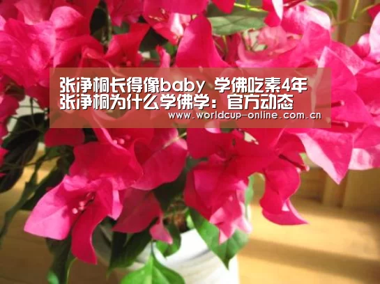 张净桐长得像baby 学佛吃素4年张净桐为什么学佛学:官方动态(图1) 世界杯中文网
