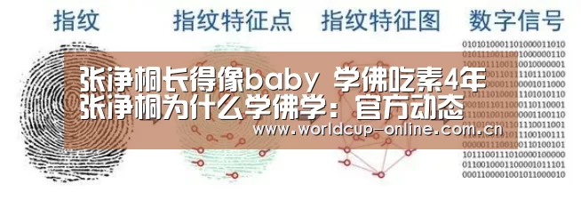 张净桐长得像baby 学佛吃素4年张净桐为什么学佛学:官方动态(图2) 举办城市