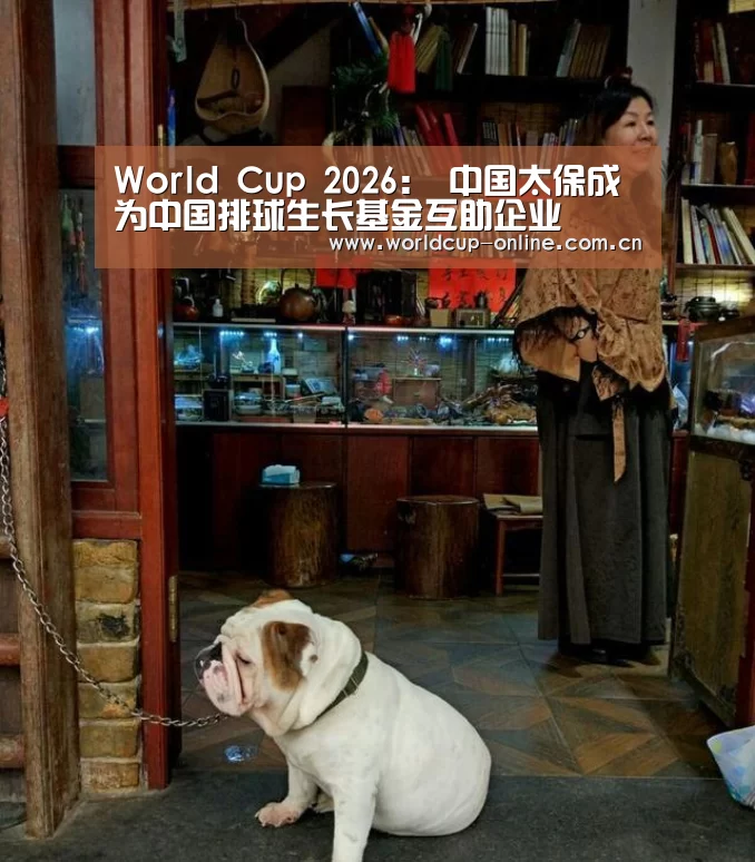 世界杯中文网