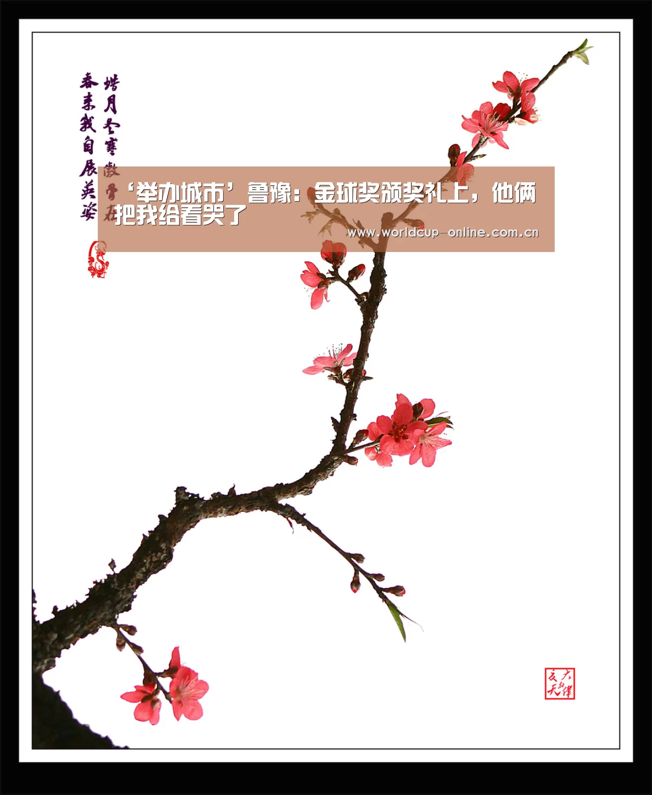 ‘举办城市’鲁豫:金球奖颁奖礼上,他俩把我给看哭了(图1) 官方动态