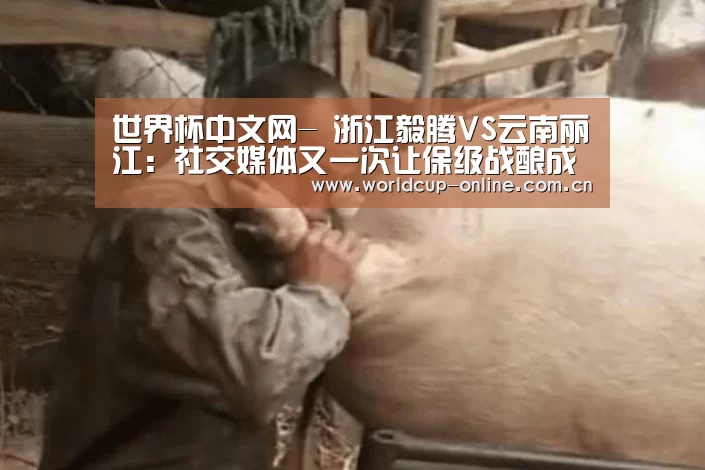 官方动态